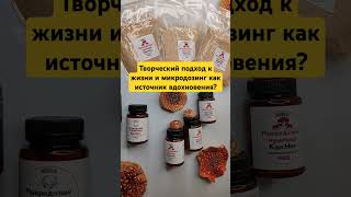 Творческий подход к жизни и микродозинг как источник вдохновения? #микродозингмухомора #ежовик