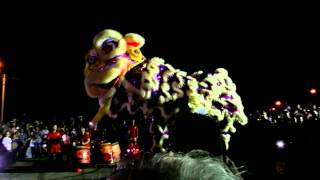 Lantern Festival 2012 - Lion Dance Part 2