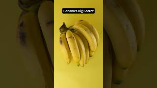 You Won't Believe This About Bananas! #shorts #trending #viral #usa #facts