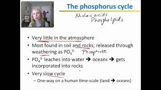 Environmental Systems and Biogeochemical Cycles Part 2