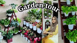 Garden tour || Amazing Indoor garden tour  || How to set Indoor plants healthy || salu🔥