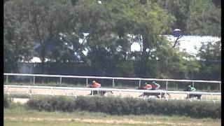 17.07.11.Mammona Stakes (Gr III), 1400 m, fillies 2 y.o.-Mahinaciya