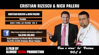 CRISTIAN RIZESCU SI NICU PALERU - DOAMNE VREMEA CUM TRECU