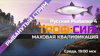 Закрываю МАХОВУЮ квалификацию 7 РАНГ ● Стрим ● Русская Рыбалка 4