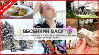 Я СКУЧАЛА🥰! ПЕРЕБОЛЕЛИ ВЕТРЯНКОЙ🤒У НАС ЗИМА❄️ БАНАНОВЫЙ КЕКС🥮ГОТОВИМ ВКУСНЫЙ УЖИН🌿САД ПОСЛЕ ЗИМЫ