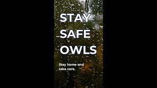 Be Safe Owls!