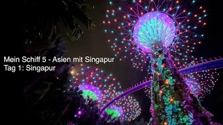 Landausflug Singapur erster Tag - Kreuzfahrt Asien mit Singapur - Mein Schiff 5