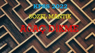 KPSS SÖZEL MANTIK 2022 ağaç dikme