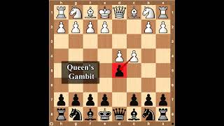 Queen's Gambit Declined: Albin Countergambit  👁‍🗨Trap 👁‍🗨 With Beautiful Smothered mate (by Black)