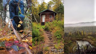 SOLO Night ALONE in Alaskan Cabin | Byers Lake Cabin #3