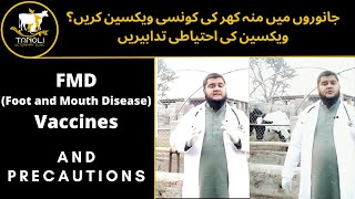 Vaccination || FMD Vaccines For Animals(جانوروں میں منہ کھر کی ویکسین) || Tanoli Veterinary Clinic