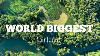 Strange Facts About World Largest Rainforest ll Amazon Rainforest