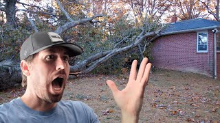 Does Home Insurance Cover a Tree Falling On House?