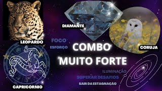 🟠  COMBO MUITO FORTE - LEOPARDO, DIAMANTE, CORUJA E CAPRICÓRNIO - LEIA A DESCRIÇÃO DO VÍDEO ANTES