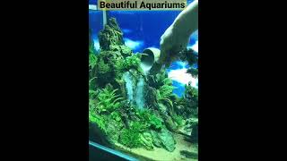 Beautiful Aquariums #100