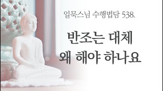 반조는 대체 왜 해야 하나요ㅣ일묵스님ㅣ제따와나선원 538.