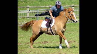 Welsh MGA Trial 2019