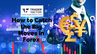 How to Catch the Big Moves in Forex