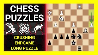 Chess Puzzles to Practice. Themes: Crushing, Endgame, Long puzzle. Learn Chess