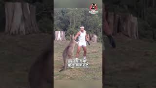 HUMANO VS CANGURO #shorts #viral