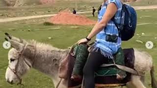 Long donkey ride in Tajikistan / Долгая поездка на осле в Таджикистане