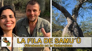 Grabando en la Naturaleza! Samu'û