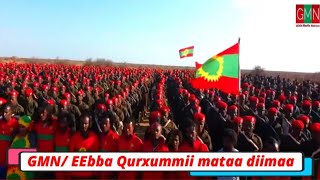 GMN/26/04/2024 _ Qurxummii mataa diimaa , @ODM2019 #oromo #world #oromomusic #gulalemedianetwork