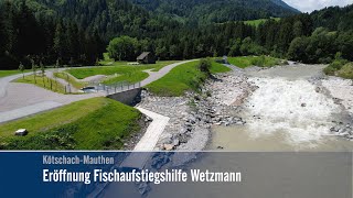 Fischaufstiegshilfe Wetzmann