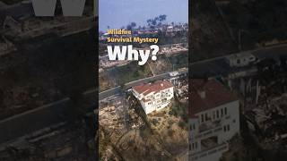 Why These Houses Survived Wildfires?