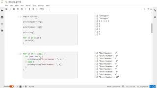 For Loop in R #11