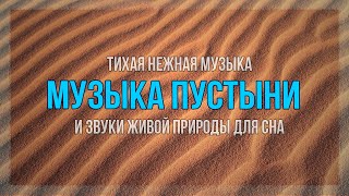 Музыка Пустыни 30 мин. Пустынный ветер и музыка  для Сна. Desert wind and music for Sleep and Relax