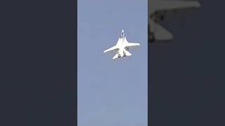 F 14 Tomcat Fly at Air show#shorts