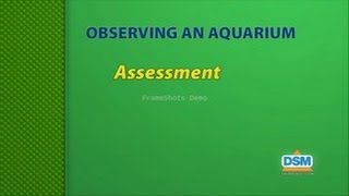 Observing an Aquarium - Assessment