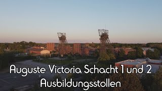 Auguste Victoria Schacht 1 und 2 Ausbildungsstollen