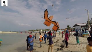 Pongal kite  Festival Celebration Day in Jaffna Srilanka