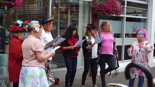 Wildflowers choir. Seeing clearly in Hythe