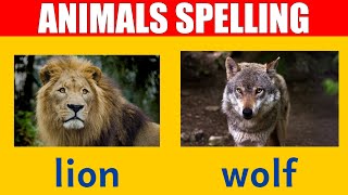 Wild Animal Names - Learn Spelling and Pronunciation in English