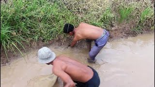 Net Fishing and digging frog at pailin Province - digging frog  -Cambodia Traditional ( Part 62)