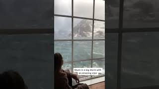 Just Enjoying The Storm tiktok ryandeseixas