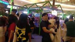 Pet Expo at Emporium Mall Pluit, Jakarta Utara # My Instagram angelwithme25