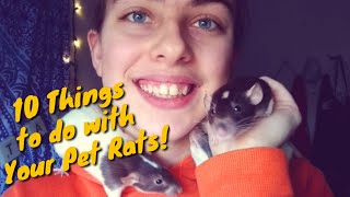 10 Things To Do With Your Pet Rats!