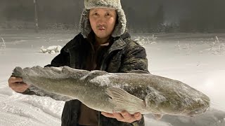 Рыбалка на больших налимов! Fishing for big burbot! 4k! 12.01.2024г.