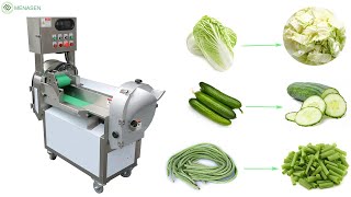 MNS-301 All in one Vegetable Cutter/ Multi-function Vegetable Cutting Machine