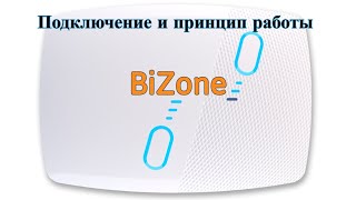 Bizone. Подключение и основной принцип работы