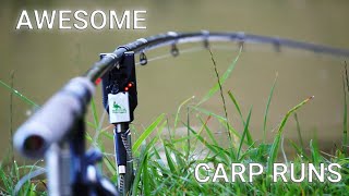 Carp Run Compilation