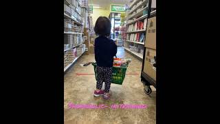 Shammi shopping at dollar tree