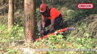 Oregon Felling Lever Demo