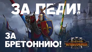 Бретонния. Фракции Total War Warhammer 3