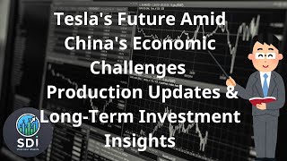 Tesla's Future Amid China's Economic Challenges Production Updates &Long-Term Investment Insights#20