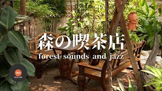 Ambient sounds + JAZZ Gentle Forest sounds Relaxing work/study CAFE MUSIC - BGM for work☕